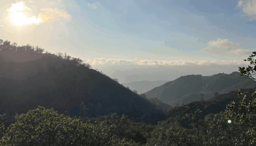 10.19 Bulletin Cover