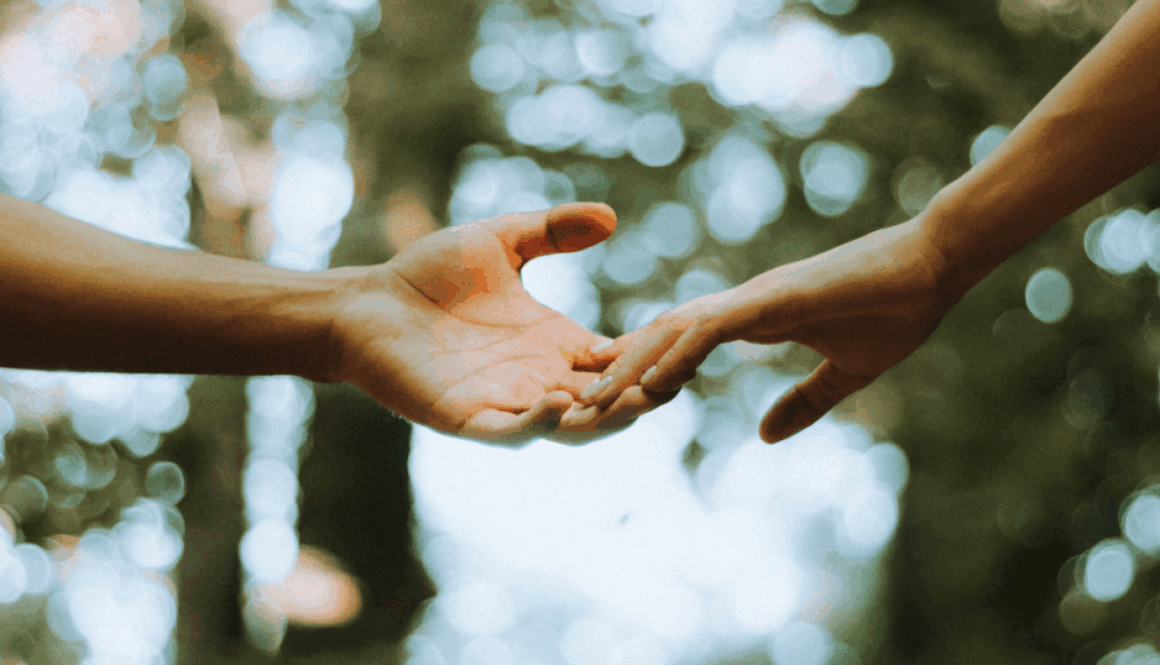 _11.16 Bulletin Cover