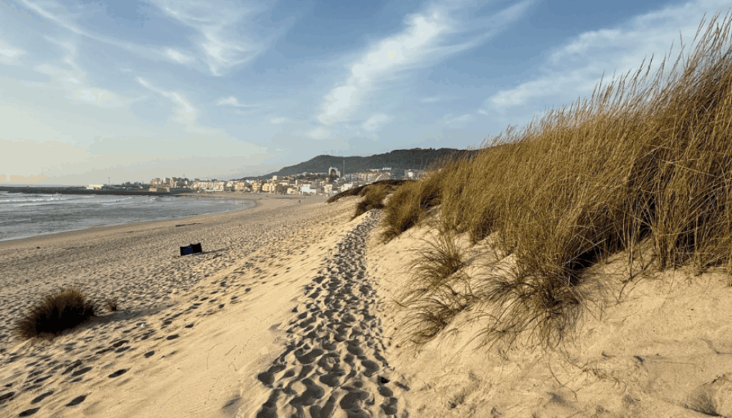 _11.9 Bulletin Cover