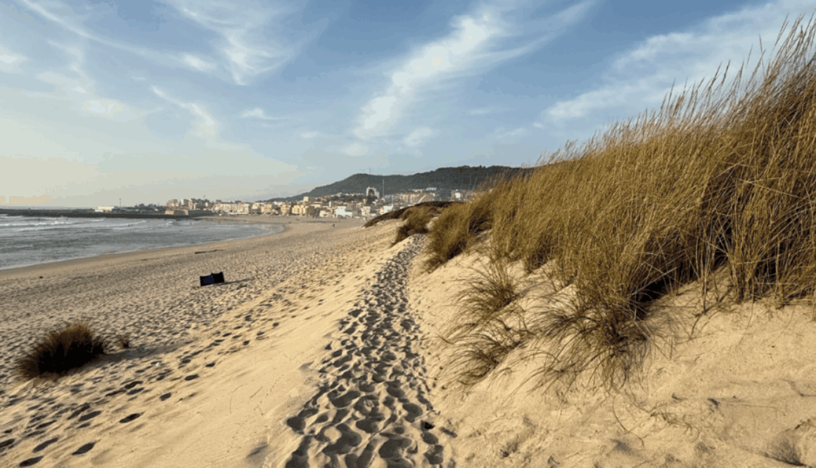 _11.9 Bulletin Cover